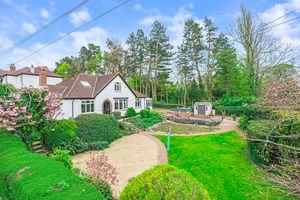 Photo 46- click for photo gallery